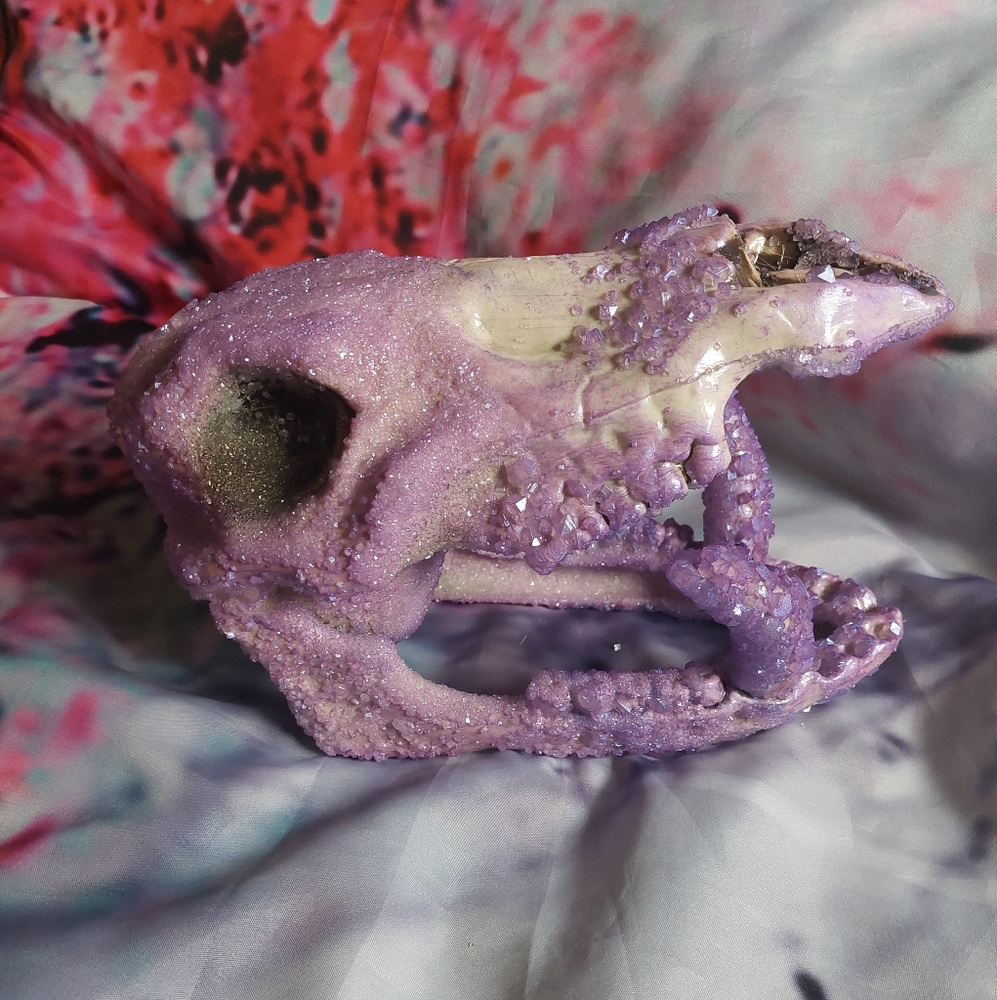 Crystal Skulls - Picture 6 of 14